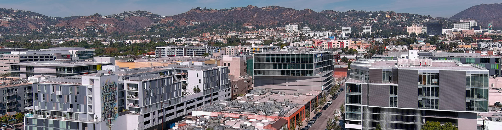 Sycamore in Los Angeles, California